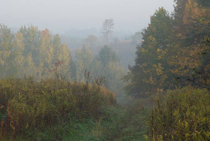 Caledon Real Estate Homes for Sale Country Properties Caledon House for Sale Real Estate Listings 