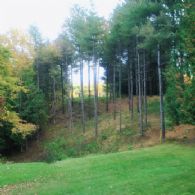 View towards Lookout Point - Country homes for sale and luxury real estate including horse farms and property in the Caledon and King City areas near Toronto