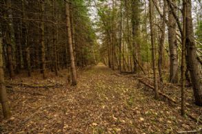 Winding Waters, Midhurst, Midhurst, Ontario - Country homes for sale and luxury real estate including horse farms and property in the Caledon and King City areas near Toronto